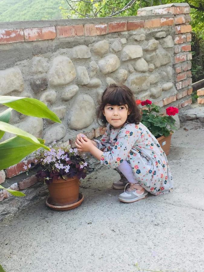 Guest House Babaka Sighnaghi Exterior photo